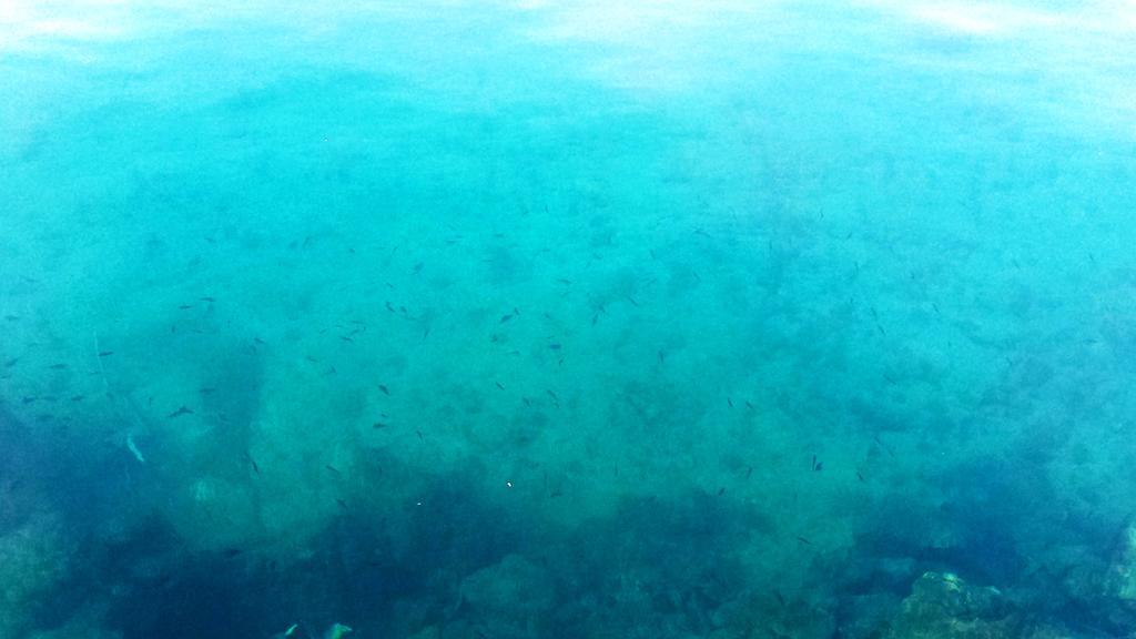 Adriatic * Selce