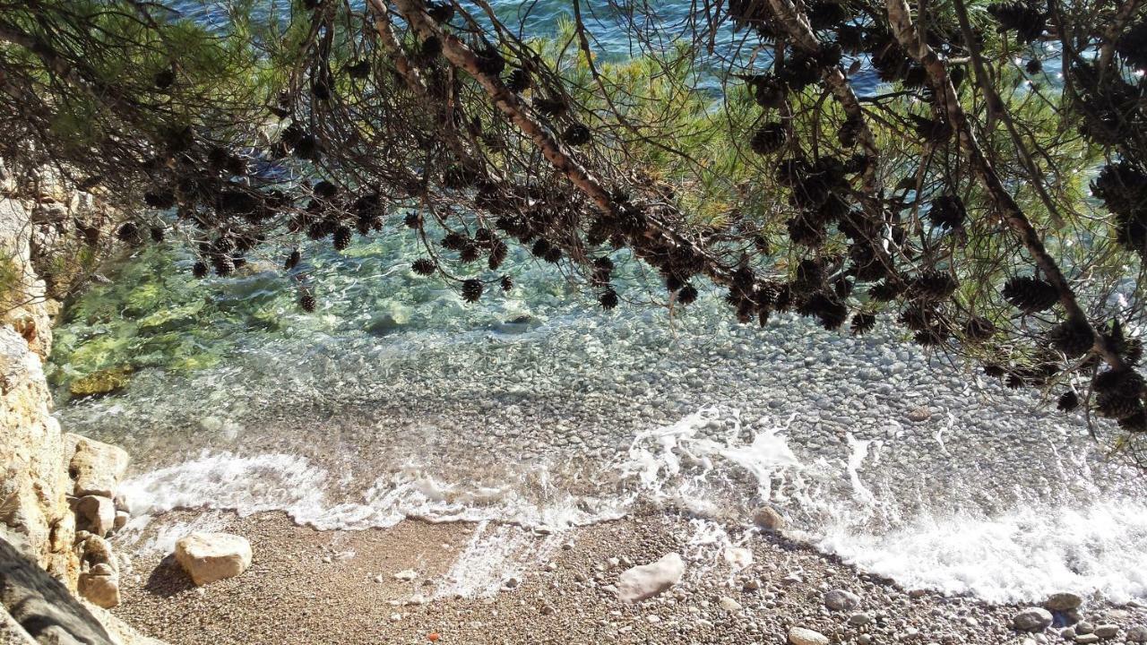 Adriatic *